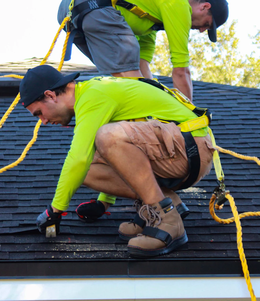 Roofers in safety harnesses working on a shingle roof